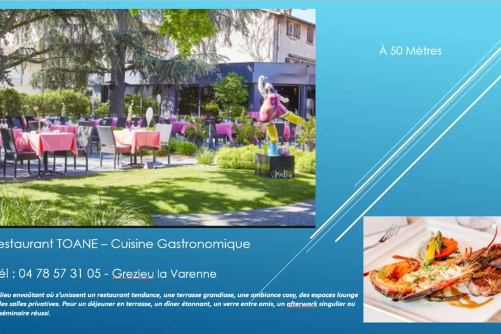 דירות Grezieu-la-Varenne Studio Renove Rdc Terrasse + Exterieur Paysage מראה חיצוני תמונה